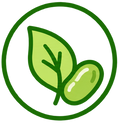 Clean
Nutrition